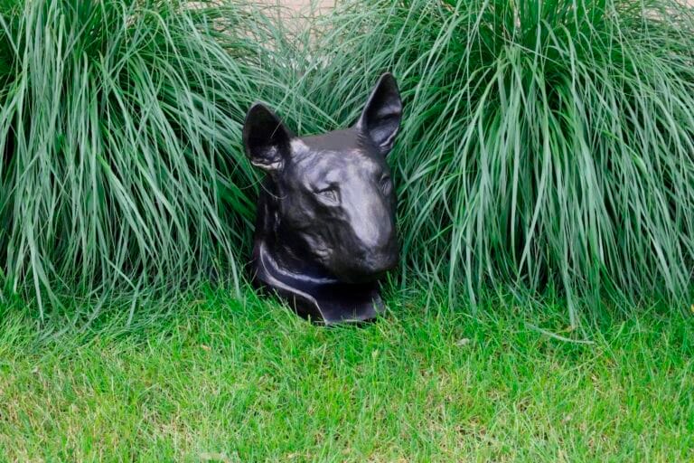 dog urn in the garden