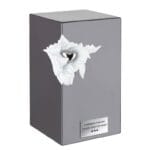 unusual urn for human ashes