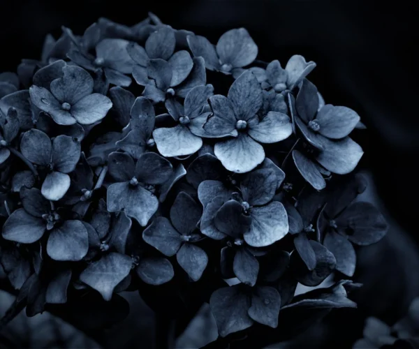 Condolences on the death of mom