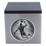 Vollständige Nahaufnahme der Vorderansicht der Volleyballurne: Edelstahlbox mit Holzdeckel, innen mit Filz ausgekleidet (nicht abgebildet).