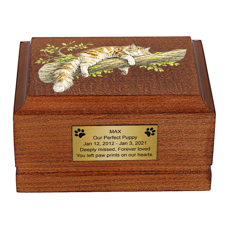 Front view of Maine Coon Cat Wooden Cremation Urn with sleeping cat artwork.